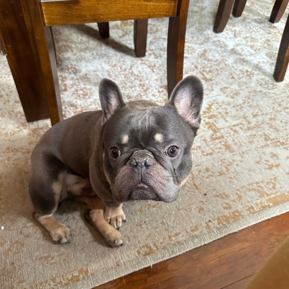 Meet your Posher, Jakia - Picture 7 of 9